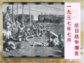 部编版九年级语文上册2.《我爱这土地》课件