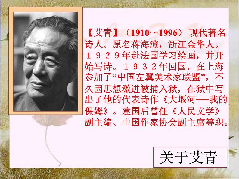 部编版九年级语文上册2.《我爱这土地》课件1第3页