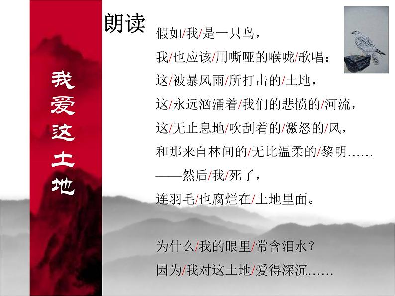 部编版九年级语文上册2.《我爱这土地》课件1第6页