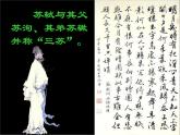 部编版九年级语文上册13.诗词三首-《水调歌头（明月几时有）》课件