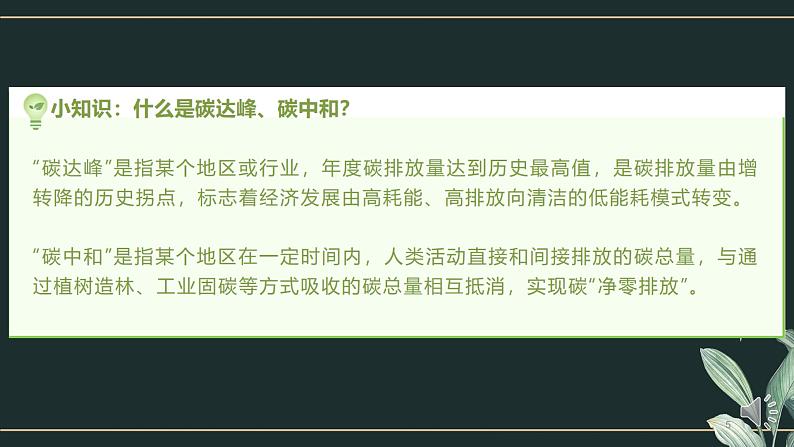 初中 初二 语文 第二单元综合性学习《倡导低碳生活》   课件05