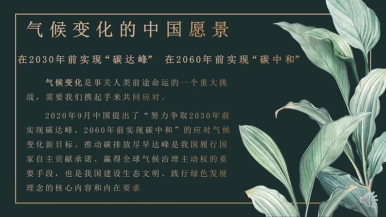 初中 初二 语文 第二单元综合性学习《倡导低碳生活》   课件06