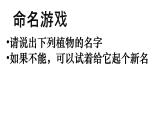初中 初二 语文《学会描写景物》第一课时课件