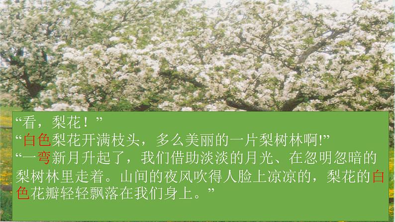 初中语文 七年级下《驿路梨花》第二课时 PPT 课件07