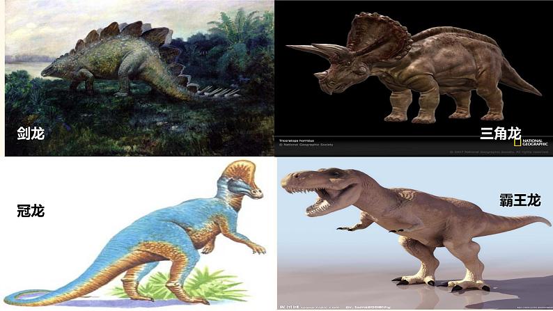 初中语文 八年级下《阿西莫夫短文两篇》第一课时 课件第4页