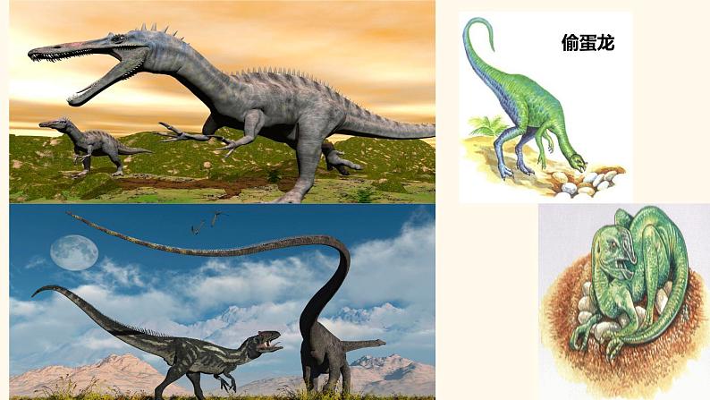 初中语文 八年级下《阿西莫夫短文两篇》第一课时 课件第5页