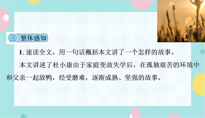 部编版语文九年级上学期 17.《孤独之旅》同步课件+教案08