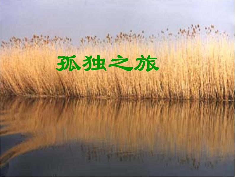 部编版九年级语文上册17《孤独之旅》课件1第1页