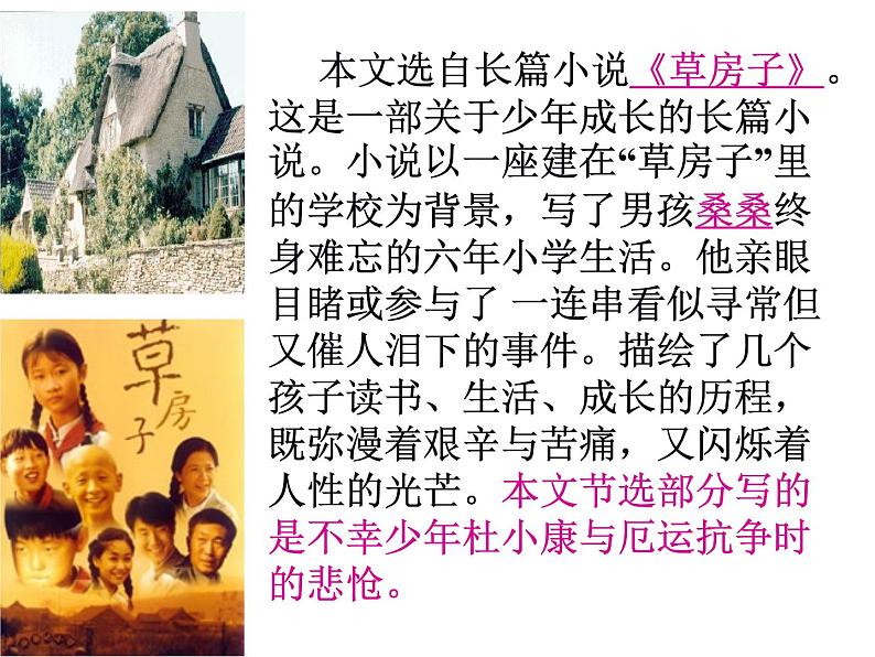 部编版九年级语文上册17《孤独之旅》课件1第3页