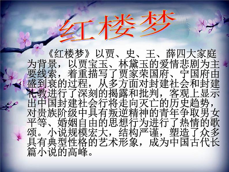 部编版九年级语文上册25《刘姥姥进大观园》课件03