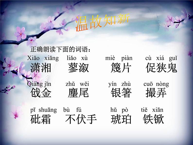 部编版九年级语文上册25《刘姥姥进大观园》课件06