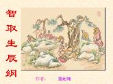 部编版九年级语文上册22《智取生辰纲》课件2