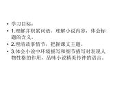 部编版九年级语文上册17《孤独之旅》课件4