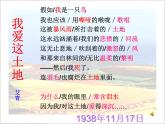 部编版九年级语文上册2.《我爱这土地》课件3