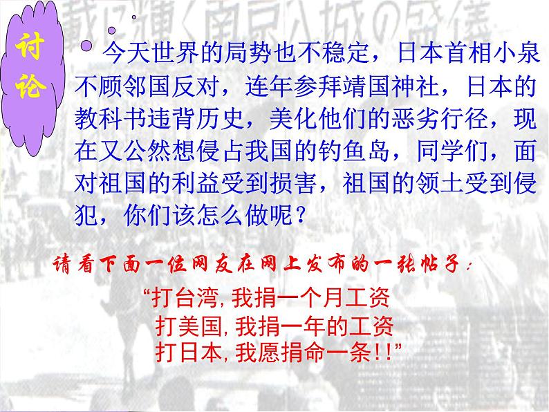 部编版九年级语文上册2.《我爱这土地》课件3第5页