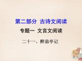 部编版九年级语文上册11《醉翁亭记》课件2