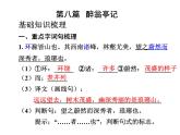 部编版九年级语文上册11《醉翁亭记》课件4