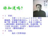 部编版九年级语文上册2.《我爱这土地》课件2