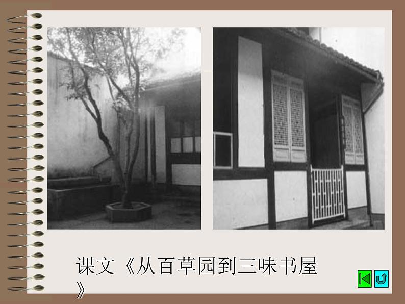 部编版八年级语文上册--6《藤野先生》课件1第5页