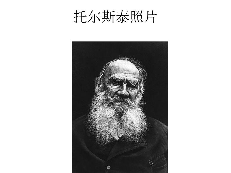 部编版八年级语文上册--8《列夫托尔斯泰》课件第4页