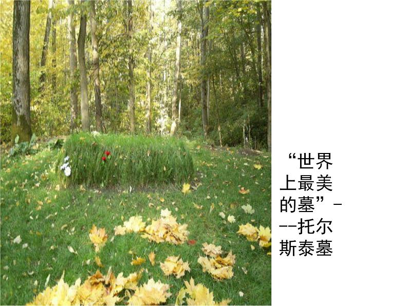 部编版八年级语文上册--8《列夫托尔斯泰》课件第7页