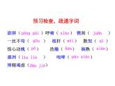 部编版八年级语文上册--4一着惊海天——目击我国航母舰载战斗机首架次成功着舰-课件4