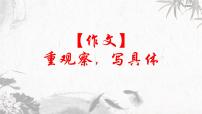 第10讲 【作文】重观察，写具体