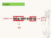 第13讲 【作文】抓特点，写人物 课件