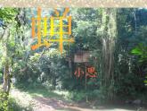 部编版八年级语文上册21《蝉》优质课件3