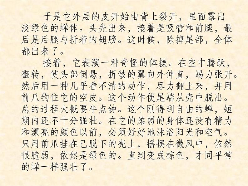 部编版八年级语文上册《《昆虫记》：科普作品的阅读》课件303