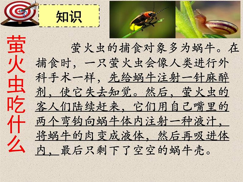 部编版八年级语文上册《《昆虫记》：科普作品的阅读》课件305