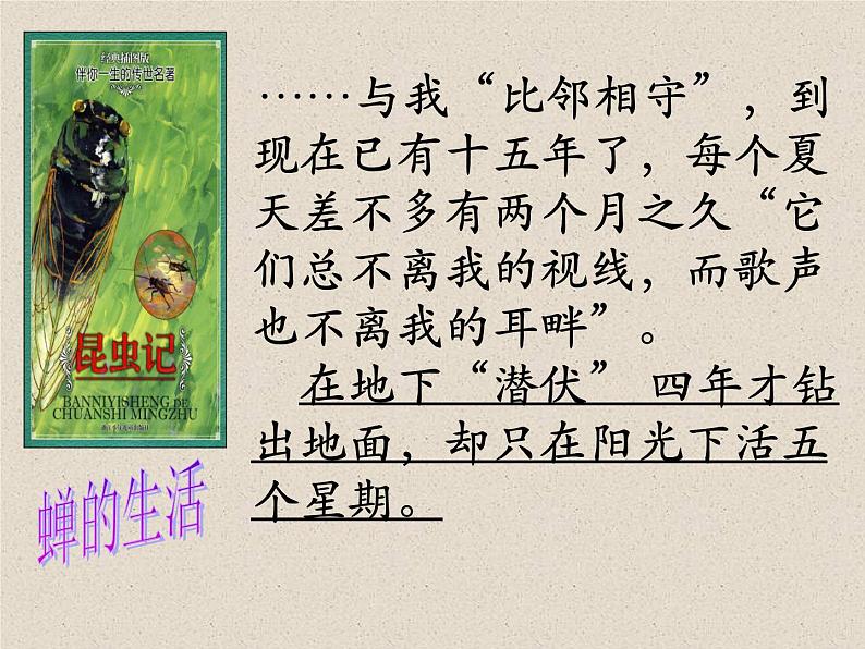 部编版八年级语文上册《《昆虫记》：科普作品的阅读》课件306