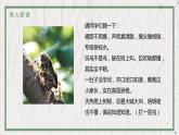 部编版语文八年级上册 教学课件_蝉