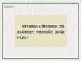 部编版语文八年级上册 教学课件_蝉