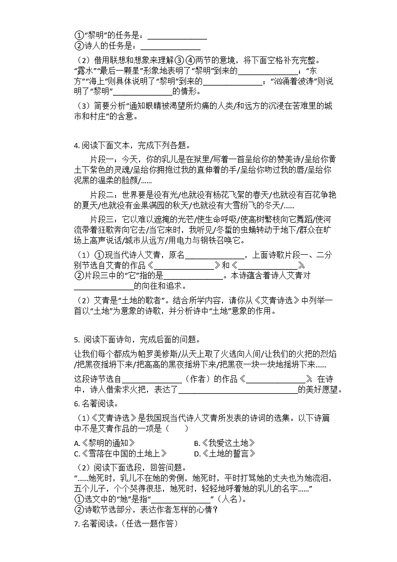 2022-2023中考语文名著导读《艾青诗选》练习题（含答案）第3页