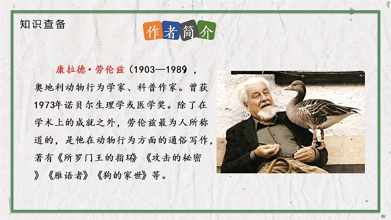 部编版语文七年级上册 教学课件_动物笑谈2第4页