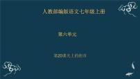 语文七年级上册20 天上的街市教学ppt课件