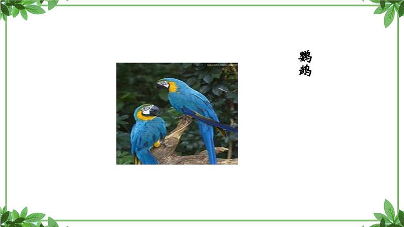 部编版语文七年级上册 教学课件_动物笑谈 305