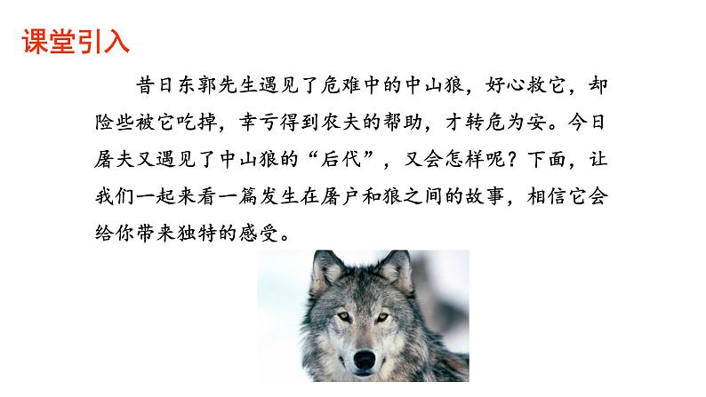 部编版语文七年级上册 教学课件_狼304