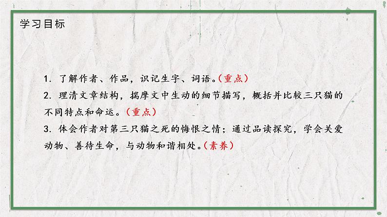 部编版语文七年级上册 教学课件_猫2（第1课时）03