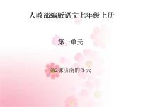 人教部编版七年级上册2 济南的冬天教学课件ppt