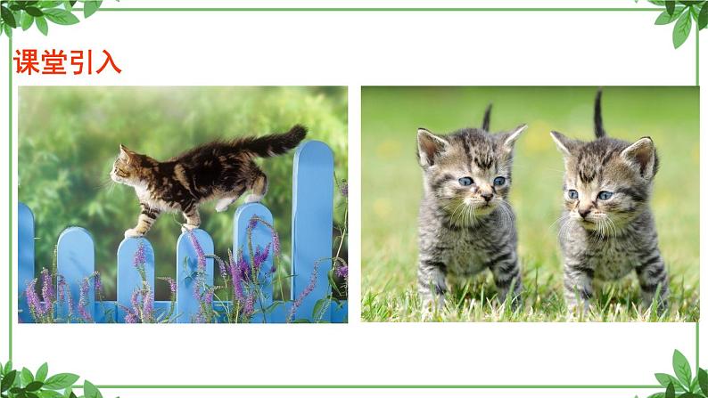 部编版语文七年级上册 教学课件_猫204