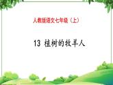 部编版语文七年级上册 教学课件_植树的牧羊人2