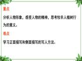 部编版语文七年级上册 教学课件_植树的牧羊人 3