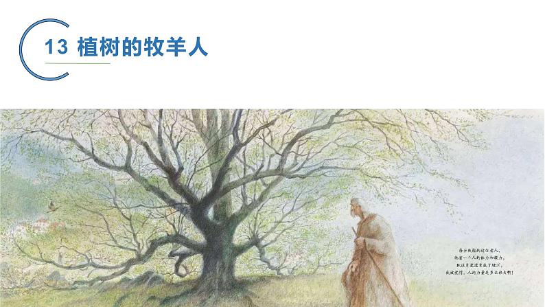 部编版语文七年级上册 教学课件_植物的牧羊人3第5页