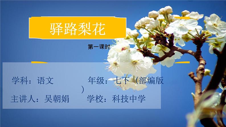初中 初一 语文《驿路梨花》第一课时  课件第1页