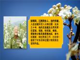 初中 初一 语文《驿路梨花》第一课时  课件