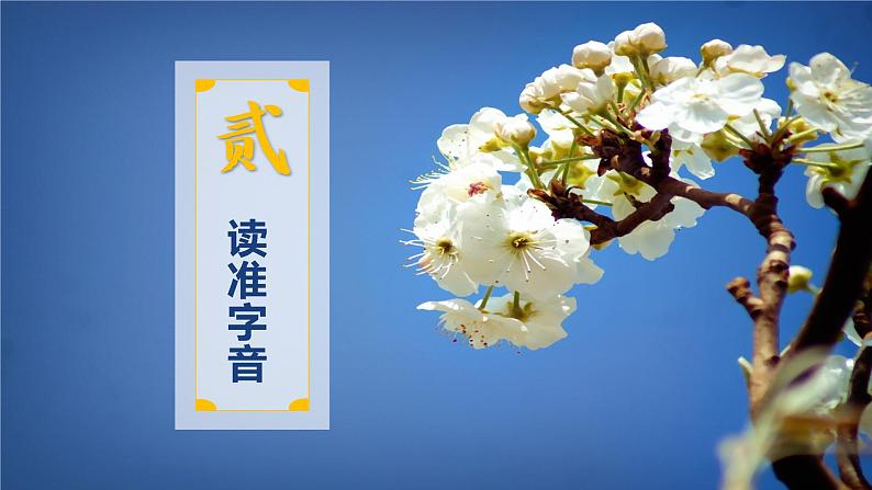 初中 初一 语文《驿路梨花》第一课时  课件第6页