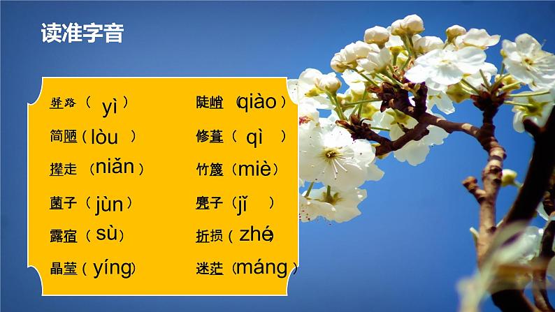 初中 初一 语文《驿路梨花》第一课时  课件第7页