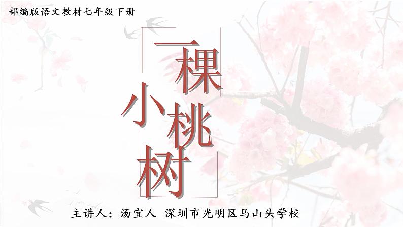 初中 初一 语文《一棵小桃树》第一课时   课件第1页